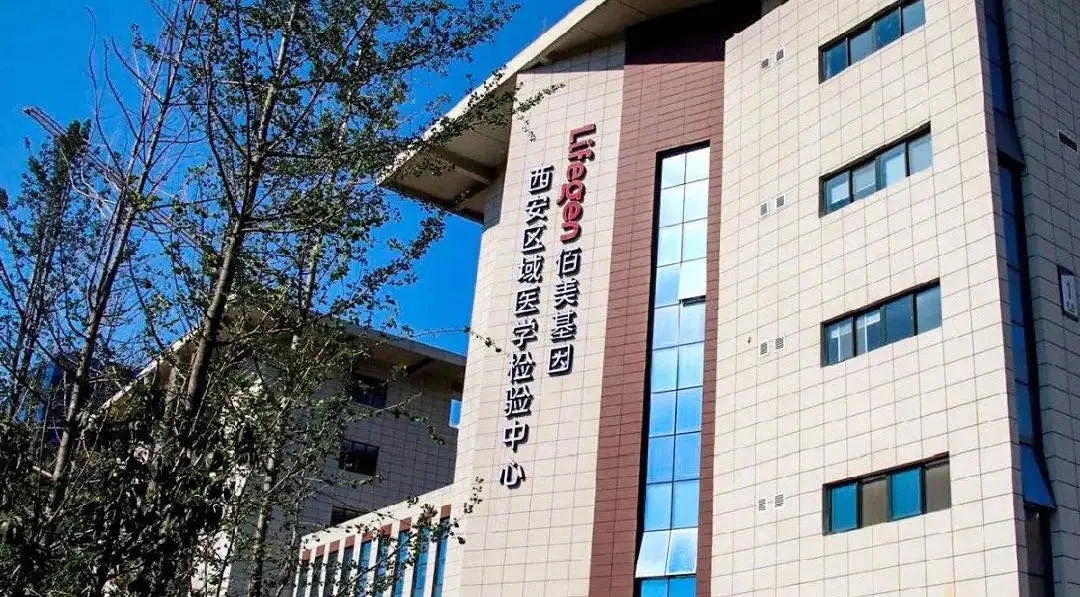 ��һ������8ͷ�����Ψһ�ٷ���վ��Ϸ������������������ҽѧĥ�����Ĺ�����